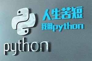 Python核心技术实战系列教程，python实战教程
