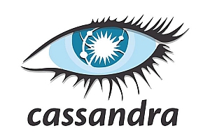 快速精通Cassandra分布式结构化数据存储教程