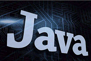 Java资深研发工程师教程第八期
